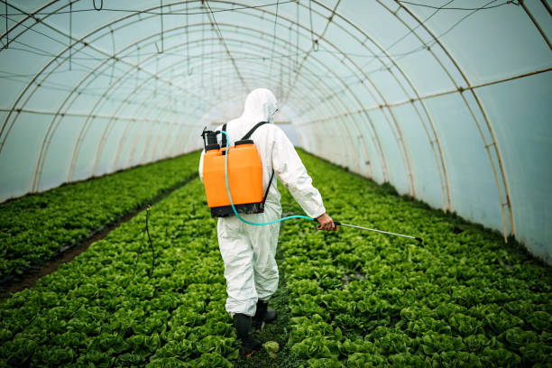 Best Affordable Pest Control Services  in Ronkonkoma, NY