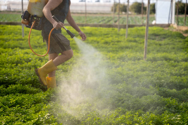 Best Pest Control Cost  in Ronkonkoma, NY