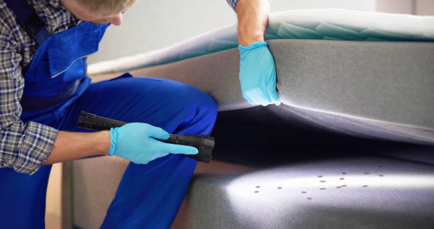 Professional Pest Control in Ronkonkoma, NY