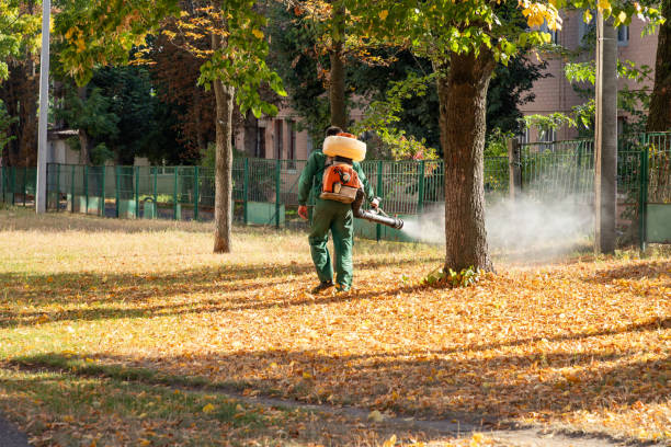 Pest Control Cost in Ronkonkoma, NY